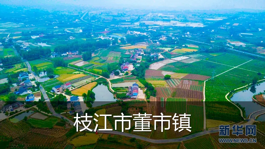 枝江市董市镇