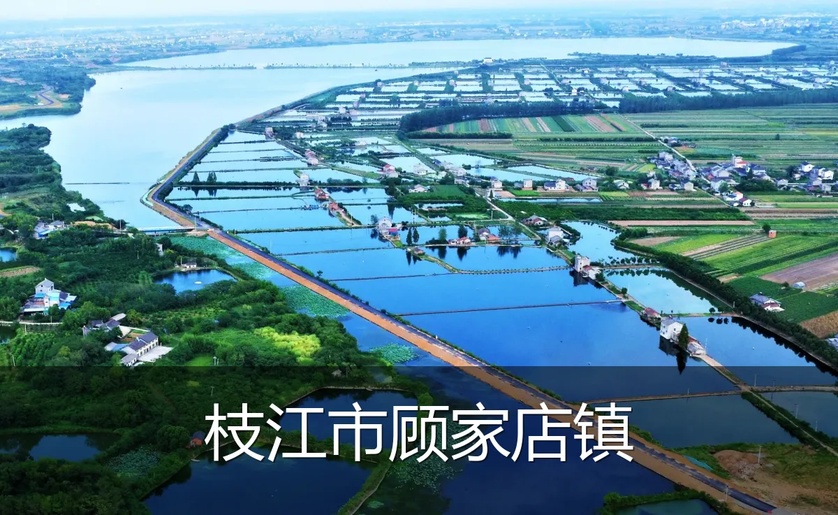 枝江市顾家店镇